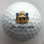 Bro Hof Slott Golf Club ⛳️ #golf #golfclub #golflinks #golfpark #golfresort #golfcourse #golfcountry #golfland #golfklub #golfball @brohofslottgc ⛳️🏌️‍♂️